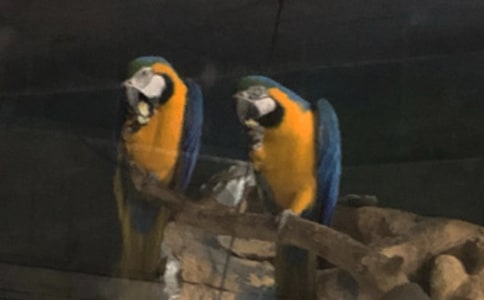 �]���W�^��������