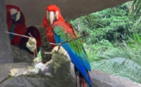 ����Ʒ���W�^�~����3ƪ