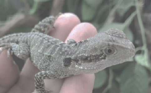 �����c��������