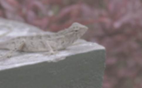 �Ҽҵ����惞(y��u)������600��