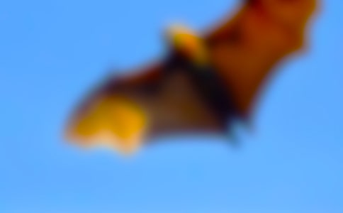 �����]�����������300����ƪ
