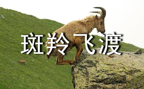 �������w�ɡ��x���ͨ��15ƪ