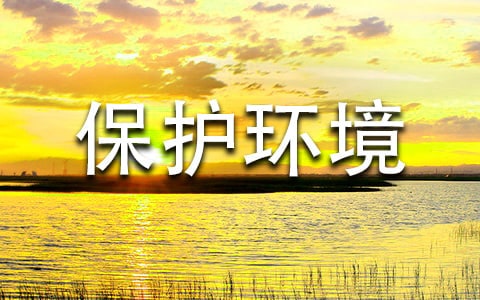(����)���o�h��������