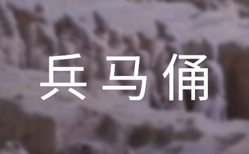 (精)參觀兵馬俑作文300字9篇