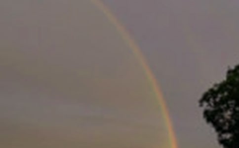 �ʺ�������300�־�ƪ