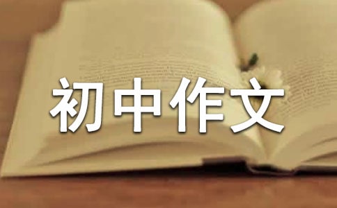 �y���ĵ�һ�γ�������