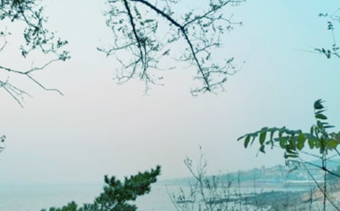 �ഺ�L��������