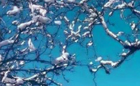 ���쾰ɫ������