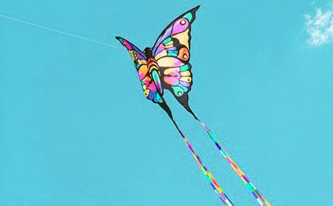���L�~���D����