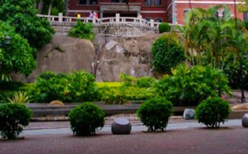 һƪ�P����ӛ������600�� ���ٹ��ˎZ