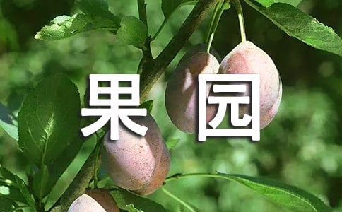 �а��Z�Խ̰����_�Ĺ��@