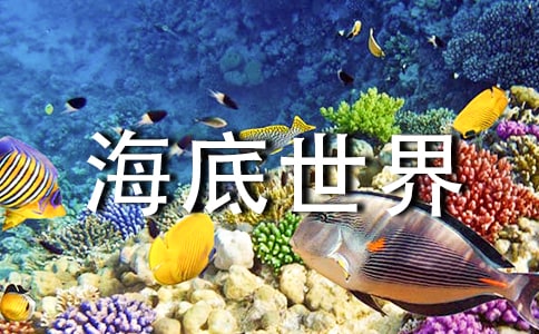 ���꼉������������