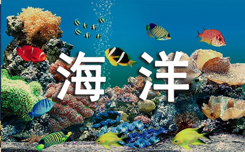 ���؂䡿��������