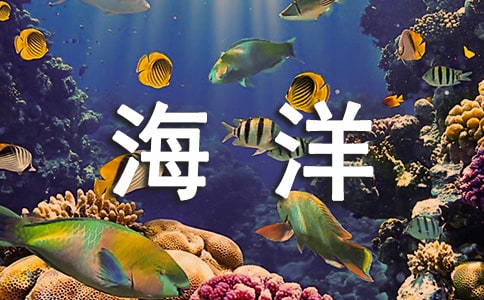 《海洋》大班教案