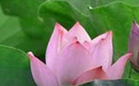 �P�ںɻ����꼉���ľ�ƪ