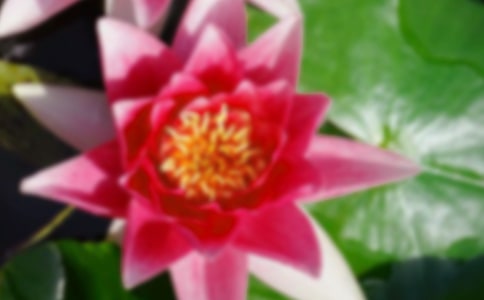 ���x�ɻ���������300��4ƪ