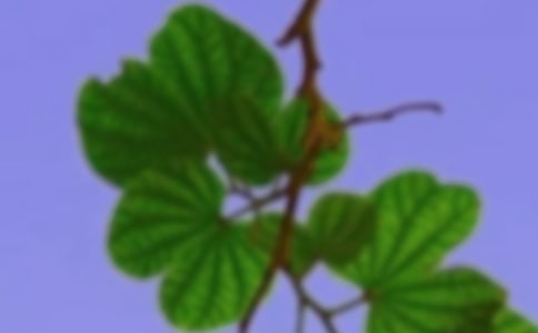 ���C����300��5ƪ(����)