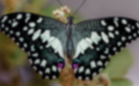 ���õĺ���������300��4ƪ