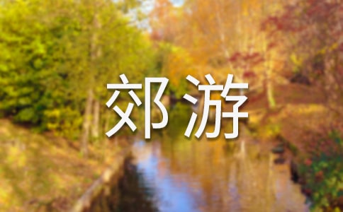 ���콼������
