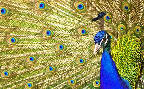 �����Ŀ�ȸ�~(y��)���ģ����x44ƪ��