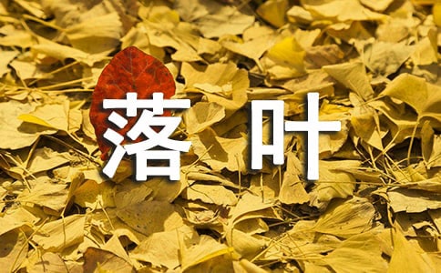 ���~���꼉(j��)��(xi��)������