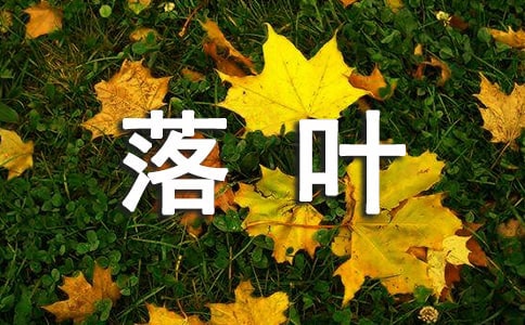 ����Ʒ�����~���꼉���ĺϼ�ʮƪ