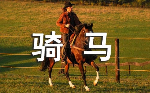 ���؂䡿�T�R����300����ƪ