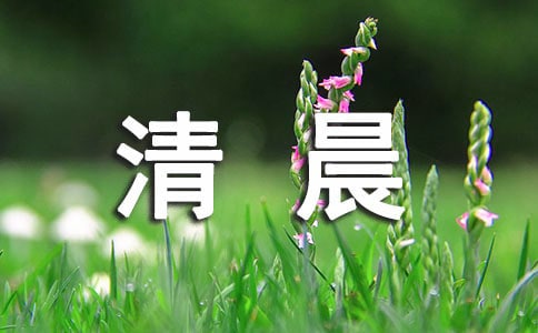 �峿��������