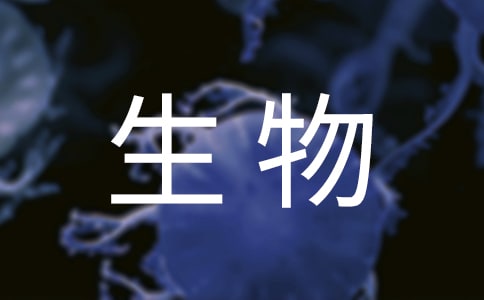 ������ˎ�����b��