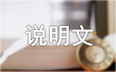 �f���ĵ������\��5ƪ
