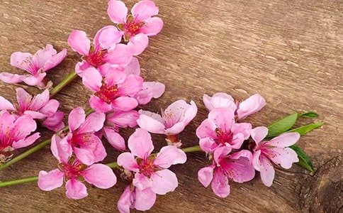 �茑�һ��ă�������