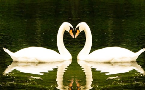 ���꼉�W(xu��)���x����С̖�����Z���и�