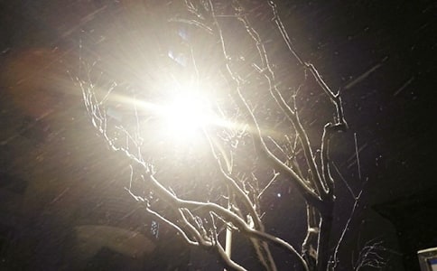 ��ѩ������[���x15ƪ]