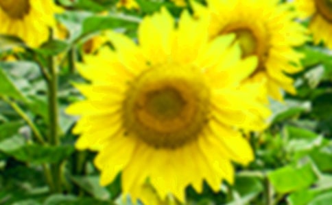 �P�ڡ����տ�Ů�����^���