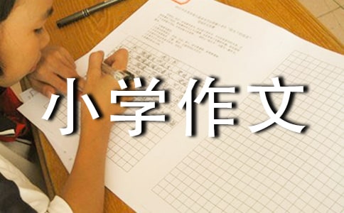 һƬ�~��С�W(xu��)����