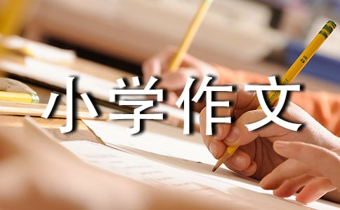 ������һ����С�W(xu��)����