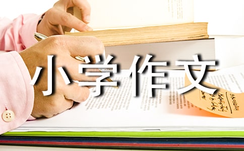 �P(gu��n)�ڸ�������С�W(xu��)����