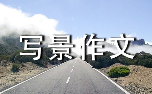 ѩ����������