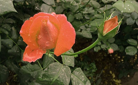 �¼�������ͨ��15ƪ