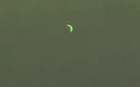 �а�̰���������ζ��