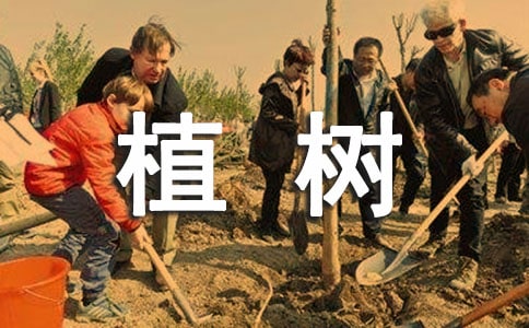 植樹日記(通用103篇)