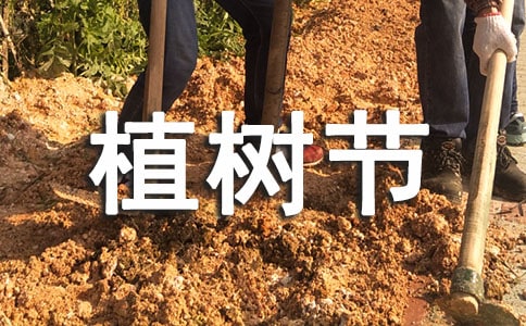 ֲ�九(ji��)ֲ�������