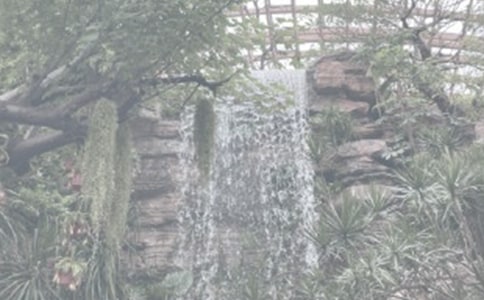 美麗的植物園周記