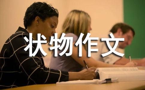 ���꼉��������(���x15ƪ)