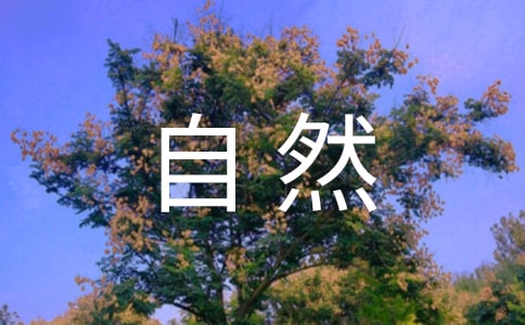 [��Ʒ]���ܴ���Ȼ����