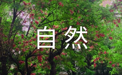 ���ܴ���Ȼ������[��15ƪ]