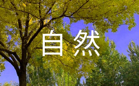 【實用】寫自然景觀的作文四篇
