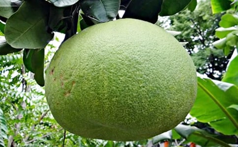���ӵ�����-���꼉����