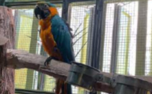 �W�^�ҵĄ�(d��ng)����������15ƪ