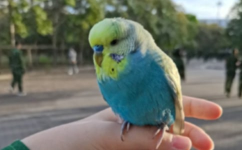 �ҵĄ��������W�^���ġ��᡿